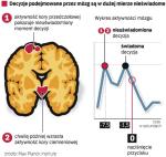 Już 7 sekund wcześniej wiadomo, co zdecydujemy. Wtedy uaktywnia się kora przedczołowa odpowiedzialna za proces planowania. Następnie impuls jest przekazywany do obszaru kory ciemieniowej przetwarzającego bodźce zmysłowe. Dopiero pół sekundy przed naciśnięciem przycisku świadomie podejmujemy decyzję, o której mózg wie od dawna.