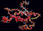 Model prionu, białka, które wywołuje chorobę szalonych krów (BSE)