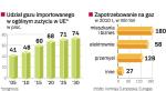 UE coraz bardziej uzależniona od importu gazu 