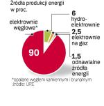 Podstawowym paliwem elektrowni jest węgiel. Dlatego naturalnym partnerem dla kopalni są firmy energetyczne.