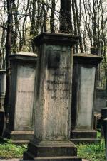 Nagrobek Michała Landego, zabitego podczas manifestacji w 1861 r., na cmentarzu żydowskim w Warszawie