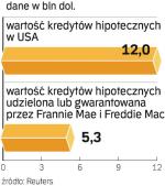 Rząd USA nie dopuści do bankructwa Frannie Mae i Freddi Mac, dwóch gigantów na rynku pożyczek hipotecznych.