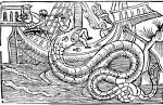 Wąż morski z książki Olausa Magnusa z 1555 roku porywa marynarza