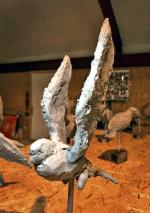 Gliniane modele figury gołębia, który stanie w Krakowie