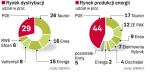 Polska Grupa Energetyczna – tak jak trzy inne grupy – powstała w efekcie konsolidacji elektrowni i spółek dystrybucji. Skarb Państwa chce, by wszystkie zadebiutowały na giełdzie. 