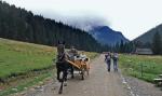 Dolina Kościeliska w Tatrach