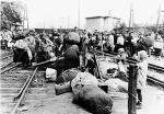 Wypędzeni mieszkańcy Warszawy w obozie w Pruszkowie