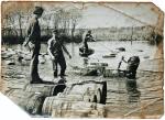Pławienie beczek z ogórkami w Narwi