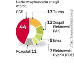 Producenci energii 