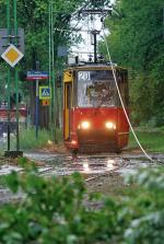 Zerwana trakcja. Wichura wstrzymała linię 20 na Boernerowie