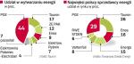 PGE dominuje na polskim rynku energetycznym 