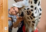 Pracownicy zoo pozwolili Łukaszowi nakarmić żyrafy 