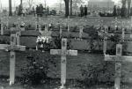 Gwiazda Dawida wśród krzyży na cmentarzu polskich lotników w Newark 