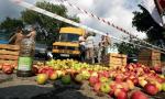 Blokada w jednej z przetwórni podczas protestu sadowników przeciwko zbyt niskim cenom skupu jabłek
