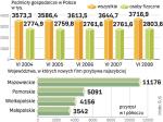 Jak Polacy biorą sprawy w swoje ręce. Liczba spółek akcyjnych zarejestrowanych od lipca 2007 do czerwca 2008 r. jest o jedną czwartą większa niż założonych między lipcem 2006 a czerwcem 2007 roku.