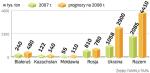 W tym roku państwa Europy Wschodniej wyeksportują 2,9 mln ton rzepaku. W przyszłych latach ilość ta będzie rosła. To zresztą konieczność – w krajach b. ZSRR brakuje magazynów.