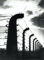 Auschwitz-Birkenau – największa niemiecka fabryka śmierci 