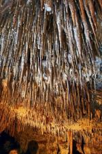 W Jaskini Raj na metr kwadratowy przypada średnio 227 stalaktytów, najwięcej w Europie