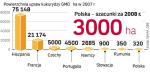 Najwięcej genetycznie modyfikowanych upraw jest w Hiszpanii. Francja w tym roku zakazała siania zmutowanej kukurydzy.