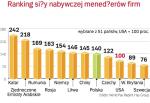 Ranking siŁy nabywczej pŁac menedŻerów. Według raportu firmy Hay Group zarobki polskich szefów są w czołówce światowej. Punktem odniesienia były zarobki w USA.