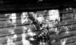 Julia Oparowska wskazuje otwory po pociskach niemieckiej żandarmerii  w miejscu zastrzelenia  jej męża Stanisława Oparowskiego, zabitego  za udzielanie pomocy Żydom. Zdjęcie z 1968 r.