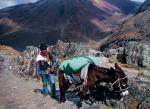 Boliwia to jeden z najmodniejszych kierunków egzotycznych podróży