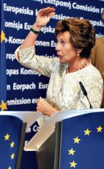 Zanim została komisarz UE, Neelie Kroes pracowała m.in. w koncernach: Volvo, Lucent Technologies czy ProLogis