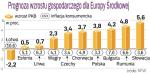 Prognoza wzrostu Gospodarczego w 2009 R. 3,8-proc. wzrost PKB w Polsce Christoph Rozenberg, dyrektor misji MFW na nasz region, uważa za „całkiem przyzwoity”. Niższy wzrost to efekt kłopotów „bogatej Europy”.