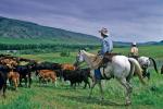 Zdjęcia do flimu „Zaklinacz koni” kręcono na ranczu koło Livingston w stanie Montana