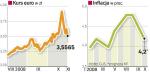 Resort finansów liczy, że inflacja spadnie. W grudniu roczny wskaźnik wzrostu cen ma wynieść poniżej 4 proc. Natomiast euro może kosztować na koniec roku 4,5 – 4,6 zł.