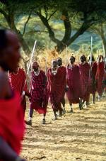 Masajscy mężczyźni znani są jako wyjątkowo przystojni mieszkańcy Czarnego Lądu