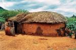 Masajska chata zrobiona jest z oblepionego gliną drewnianego stelażu 