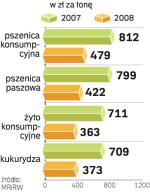 ceny zbóż w zł/tonę. Kukurydza jest prawie o połowę tańsza niż przed rokiem.