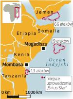 Tylko w tym roku somalijscy piraci zaatakowali ponad  70 razy. Ich ofiarą padały rozmaite jednostki, od niewielkich kutrów po transportowce. Ostatnio do ataków dochodzi co kilka dni. Wczoraj piraci uprowadzili japoński tankowiec z 23 osobami na pokładzie. 