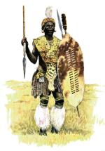 Zuluski wojownik uzbrojony w dwa oszczepy i skórzaną tarczę