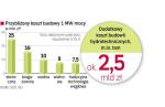 Koszty budowy elektrowni w ostatnich latach rosły. W warunkach kryzysu finansowego usługi wykonawców będą tańsze, ale kredyty – droższe i trudniejsze do uzyskania. 