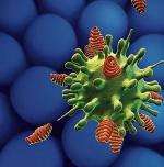 Wirus  grypy  w natarciu (www.agefotostock.com)