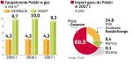 Import rosyjskiEgo gazu jest dla polski kluczowy. W ciągu ostatnich dziesięciu lat Polska nie zdołała wybudować żadnego  rurociągu, którym mogłaby sprowadzać gaz z Europy Zachodniej. Do 2014 r. ta sytuacja się nie zmieni, dlatego PGNiG zdane jest na rosyjskie warunki.