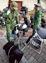 Dzień Praw Człowieka  to okazja  dla licznych demonstracji przeciwko  ich łamaniu. Wczoraj, na ulicach Seulu, zorganizowano happening, podczas którego pokazano,  jak traktowani są w Chinach północno-koreańscy uchodźcy 