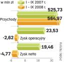 WYNIKI INDYKPOLU. Trzy pierwsze kwartały 2008 r. spółka zakończyła na minusie. Dzięki restrukturyzacji jej wyniki mają być lepsze w 2009 r.