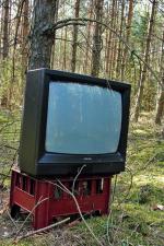 Wyrzucanie zużytego sprzętu RTV do lasów to w Polsce wciąż częste zjawisko 