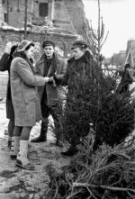 Grudzień 1946 roku. Drugie powojenne święta. Studenci Politechniki Warszawskiej sprzedają na pl. Zbawiciela choinki 