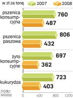 Zboże