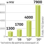 W 2020 r. z odnawialnych  źródeł musi pochodzić 15 proc. polskiej energii. Bez modernizacji sieci będzie to trudne.