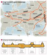 Kontynent pokryty siecią gazowych połączeń