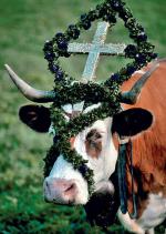 Bawarska krowa  jako matka  żywicielka w krzyżu  okolonym kwiatami 