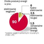 Znaczący udział węgla w bilansie energetycznym to teraz korzystna sytuacja do Polski. 