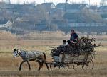 Ukraina, wieś leżąca ok. 100 km od Odessy. Rolnicy korzystają tu z naturalnych  paliw i nie przejmują się wojną gazową 