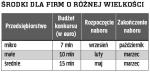 Środki dla firm o różnej wielkości