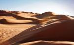 Sahara zdumiewa, ale jest też wyzwaniem. Mijaliśmy kierowców, którzy mu nie podołali 
